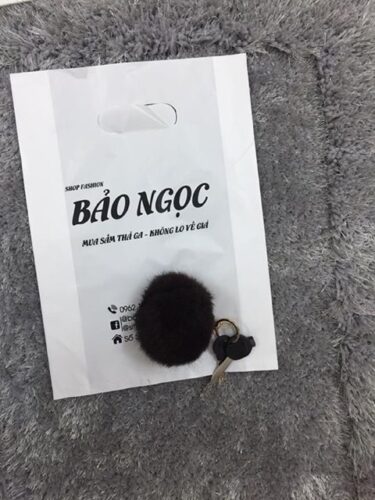 TÚI PE QUAI HỘT XOÀI