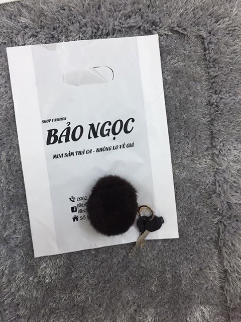 TÚI PE QUAI HỘT XOÀI 3 túi hạt xoài in