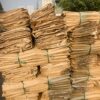 BAO JUMBO 2 TẤN 5 Mau 4 Copy
