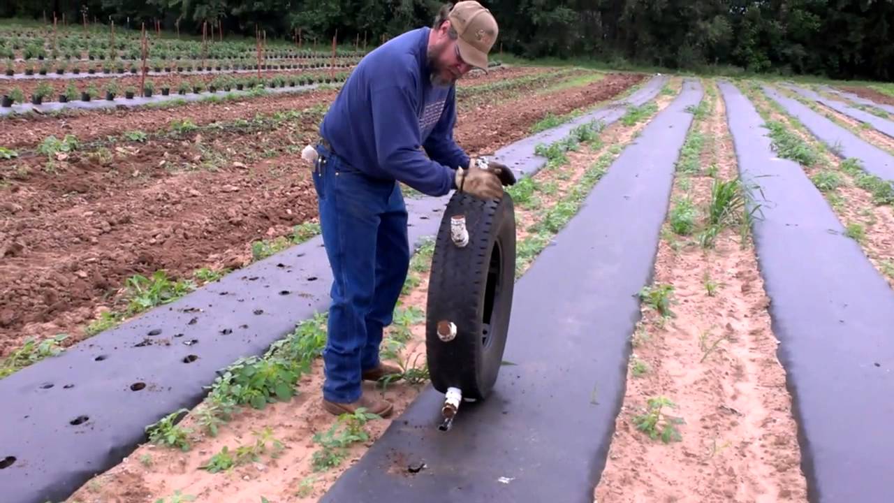 MÀNG PHỦ NÔNG NGHIỆP 4 su dung mang phu thi chon phuong phap tuoi nao1