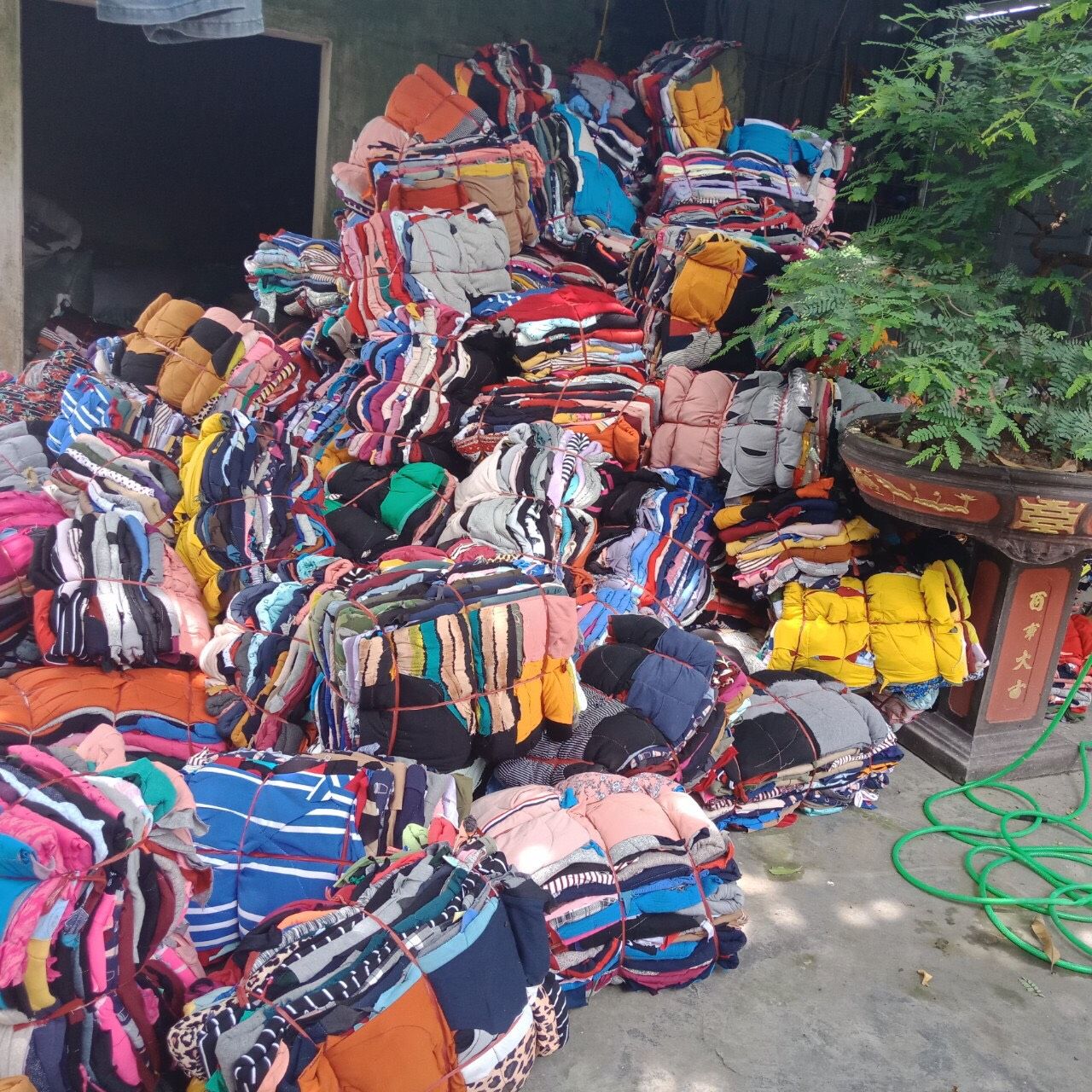 GIẺ LAU CÔNG NGHIỆP 3 z2029686632423 95ca0068ac7a69c1d278c56d644ac1ab